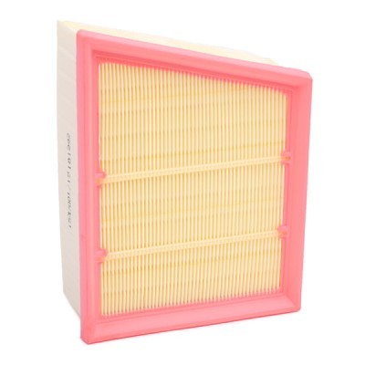 Air Filter RIDEX 8A0918 8A0918 - photo 3