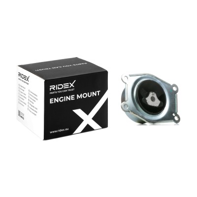 Engine Mounting RIDEX 247E0272 247E0272 - photo 5