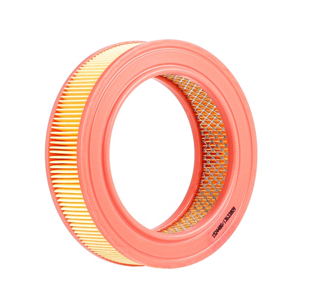 Air Filter RIDEX 8A0618 8A0618 - photo 1