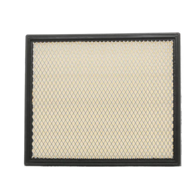 Air Filter RIDEX 8A0109 8A0109 - photo 1