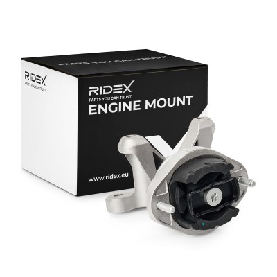 Engine Mounting RIDEX 247E1312 247E1312 - photo 2