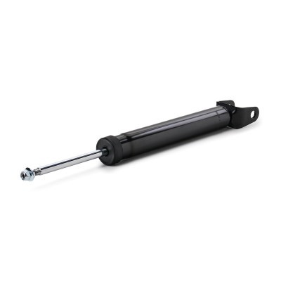 Shock Absorber RIDEX 854S2480 854S2480 - photo 4