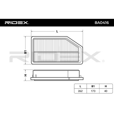 Air Filter RIDEX 8A0416 8A0416 - photo 4