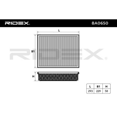 Air Filter RIDEX 8A0650 8A0650 - photo 6