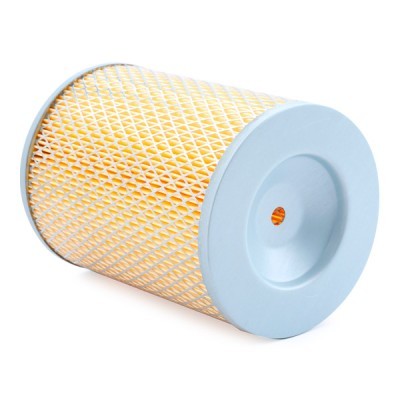 Air Filter RIDEX 8A0378 8A0378 - photo 4