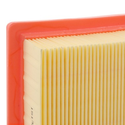 Air Filter RIDEX 8A0443 8A0443 - photo 4