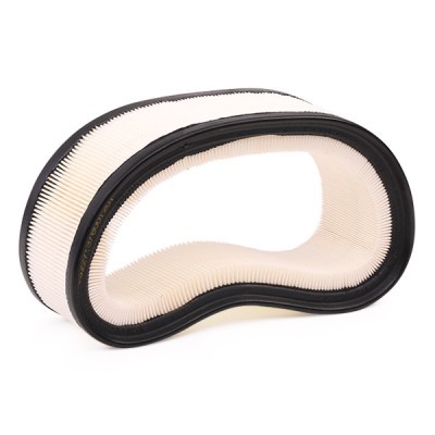Air Filter RIDEX 8A0193 8A0193 - photo 4
