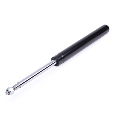 Shock Absorber RIDEX 854S1015 854S1015 - photo 4