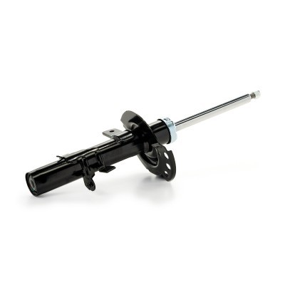 Shock Absorber RIDEX 854S18561 854S18561 - photo 4