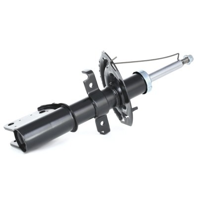 Shock Absorber RIDEX 854S0210 854S0210 - photo 4