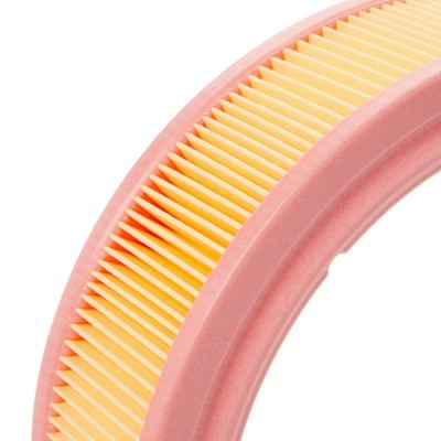Air Filter RIDEX 8A0509 8A0509 - photo 4