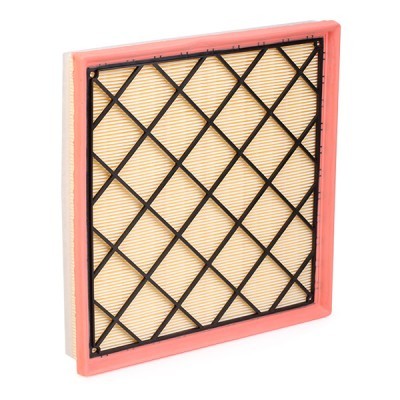 Air Filter RIDEX 8A0171 8A0171 - photo 3