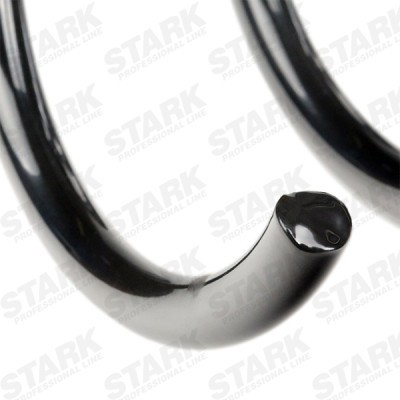 Suspension Spring Stark SKCS-0040262 SKCS-0040262 - photo 4