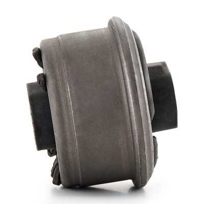 Control Arm Bushing RIDEX 251T0998 251T0998 - photo 5