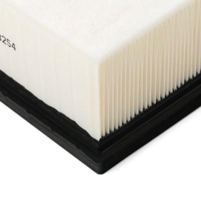 Air Filter RIDEX 8A0676 8A0676 - photo 5
