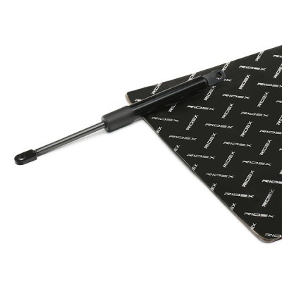 Gas Spring, boot-/cargo area RIDEX 219G0984 219G0984 - photo 2