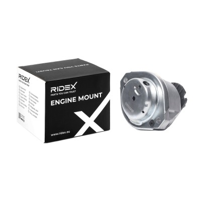 Engine Mounting RIDEX 247E0376 247E0376 - photo 5
