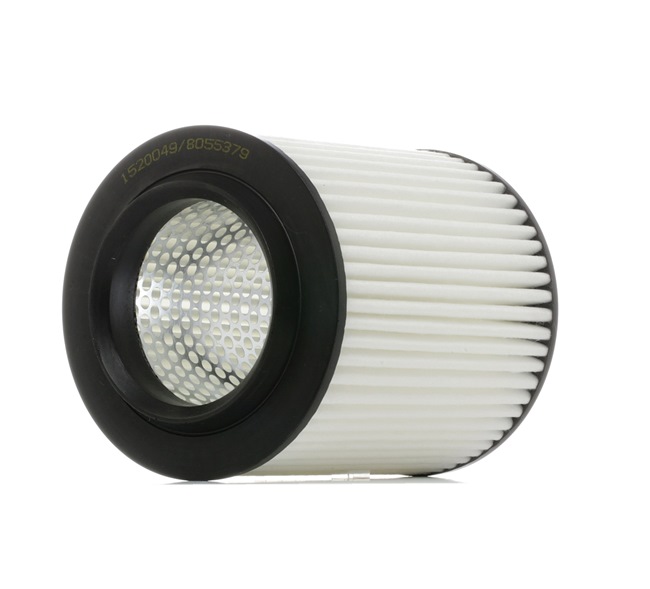 Air Filter RIDEX 8A0352 8A0352 - photo 1