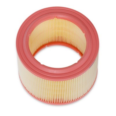 Air Filter RIDEX 8A0267 8A0267 - photo 4