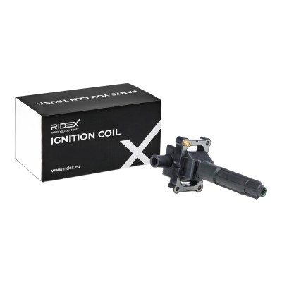 Ignition Coil RIDEX 689C0362 689C0362 - photo 7