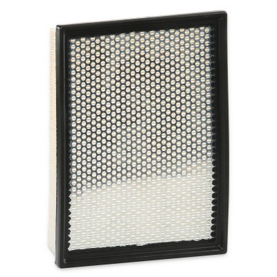 Air Filter RIDEX 8A0150 8A0150 - photo 4