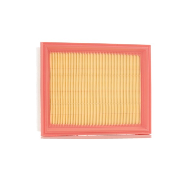 Air Filter RIDEX 8A0404 8A0404 - photo 1