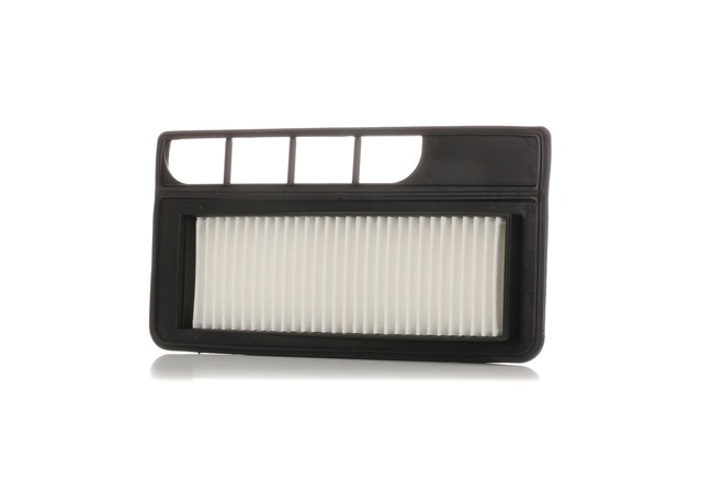 Air Filter RIDEX 8A0555 8A0555 - photo 1