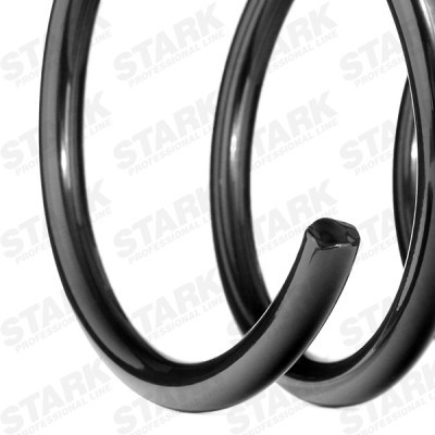 Suspension Spring Stark SKCS-0040256 SKCS-0040256 - photo 4