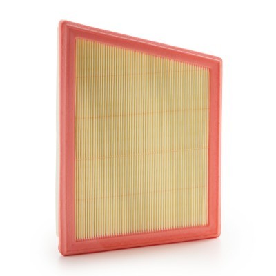 Air Filter RIDEX 8A0646 8A0646 - photo 3