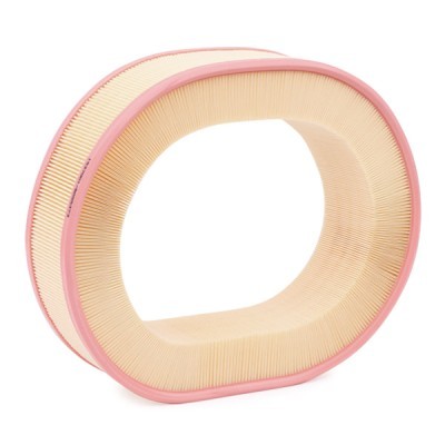 Air Filter RIDEX 8A0368 8A0368 - photo 4