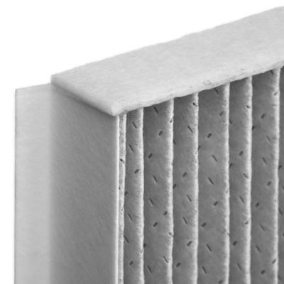 Cabin Air Filter RIDEX 424I0487P 424I0487P - photo 4