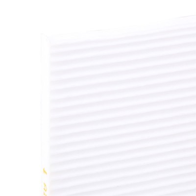 Cabin Air Filter RIDEX 424I0369 424I0369 - photo 5