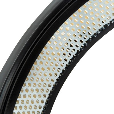 Air Filter RIDEX 8A0598 8A0598 - photo 5