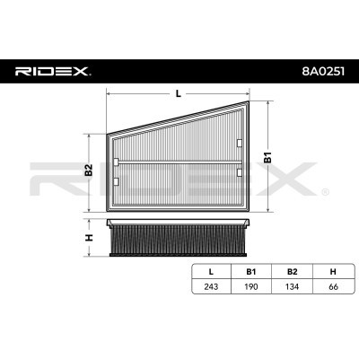 Air Filter RIDEX 8A0251 8A0251 - photo 6