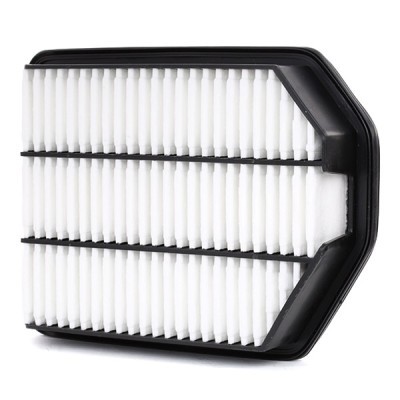 Air Filter RIDEX 8A0355 8A0355 - photo 3