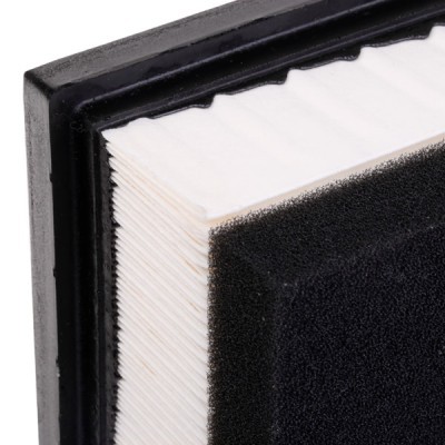 Air Filter RIDEX 8A0282 8A0282 - photo 7