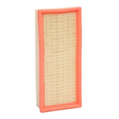Air Filter RIDEX 8A0268 8A0268 - photo 2