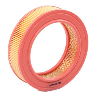 Air Filter RIDEX 8A0618 8A0618 - photo 3