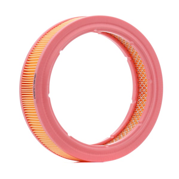 Air Filter RIDEX 8A0509 8A0509 - photo 1