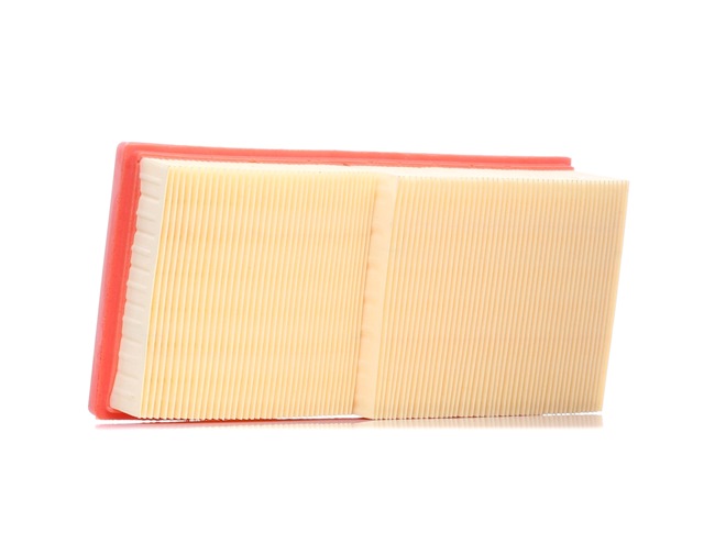 Air Filter RIDEX 8A0048 8A0048 - photo 1