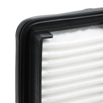 Air Filter RIDEX 8A0244 8A0244 - photo 3