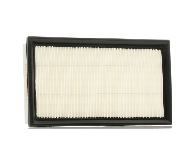 Air Filter RIDEX 8A0382 8A0382 - photo 1