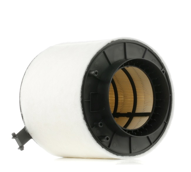 Air Filter RIDEX 8A0275 8A0275 - photo 1