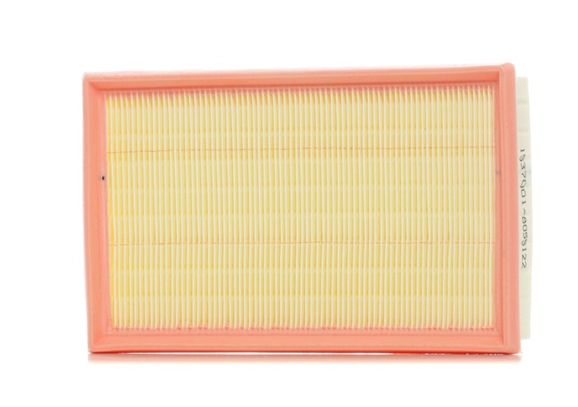 Air Filter RIDEX 8A0270 8A0270 - photo 1