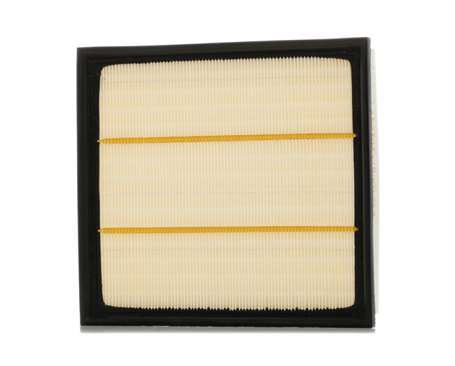 Air Filter RIDEX 8A0220 8A0220 - photo 1