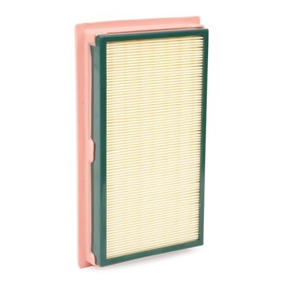 Air Filter RIDEX 8A0120 8A0120 - photo 5