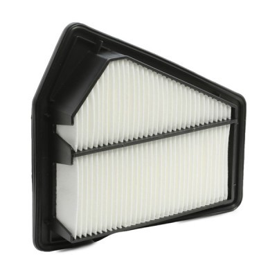 Air Filter RIDEX 8A0494 8A0494 - photo 4