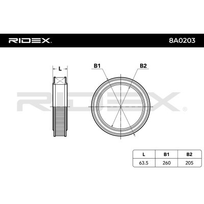 Air Filter RIDEX 8A0203 8A0203 - photo 6