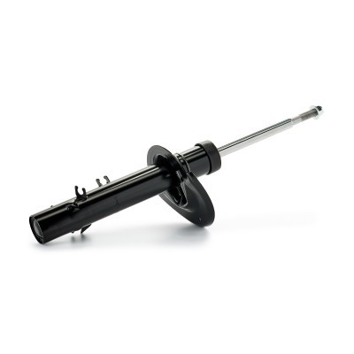 Shock Absorber RIDEX 854S18813 854S18813 - photo 4