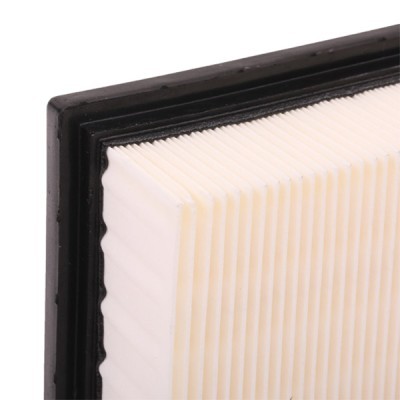 Air Filter RIDEX 8A0335 8A0335 - photo 5